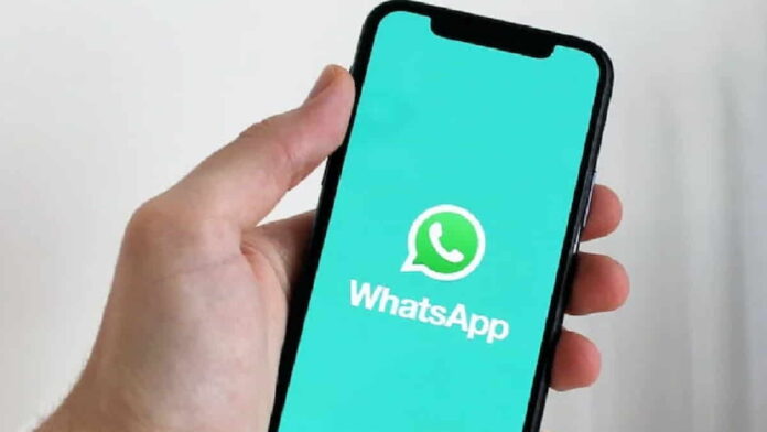 Message Level Reporting WhatsApp, Optimalkan Keamanan Akun