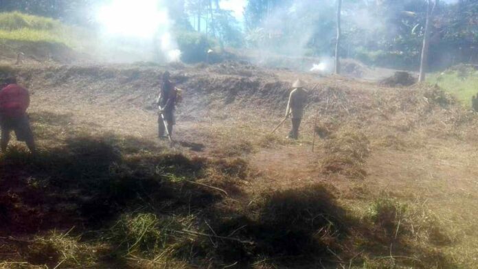 Poktan di Kawali Ciamis Sulap Lahan Tidur Jadi Sumber Pangan