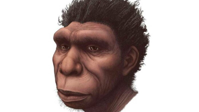 Spesies Homo Bodoensis Julukan Baru Untuk Nenek Moyang Manusia