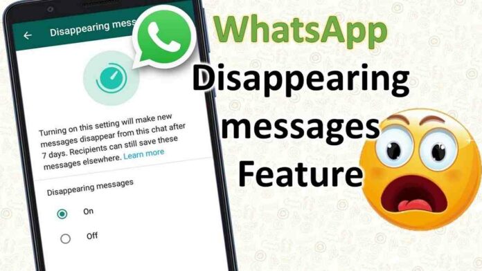 Fitur Pesan Sementara WhatsApp