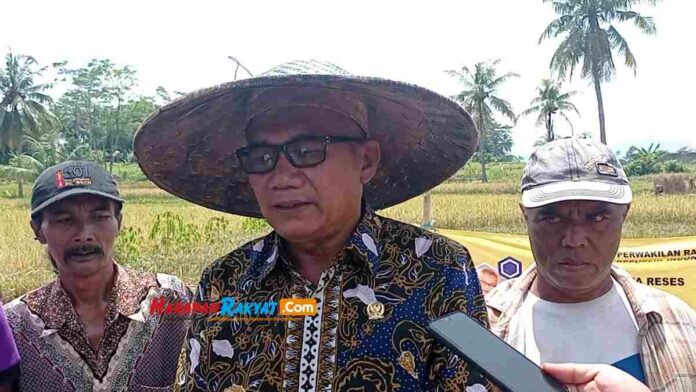 Agun Petani Milenial