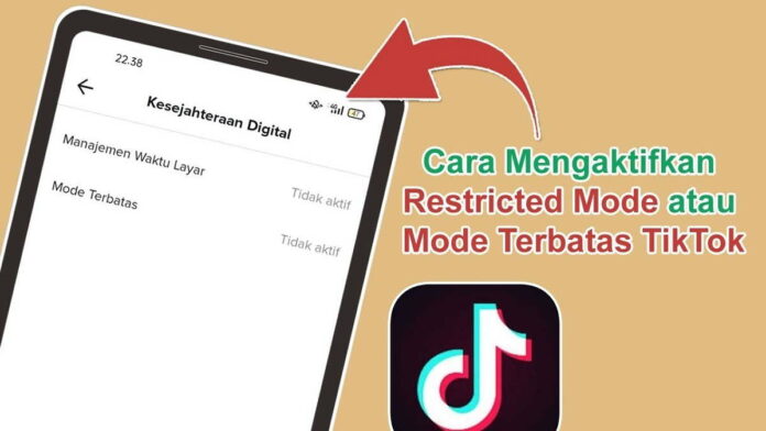 Mode Terbatas TikTok