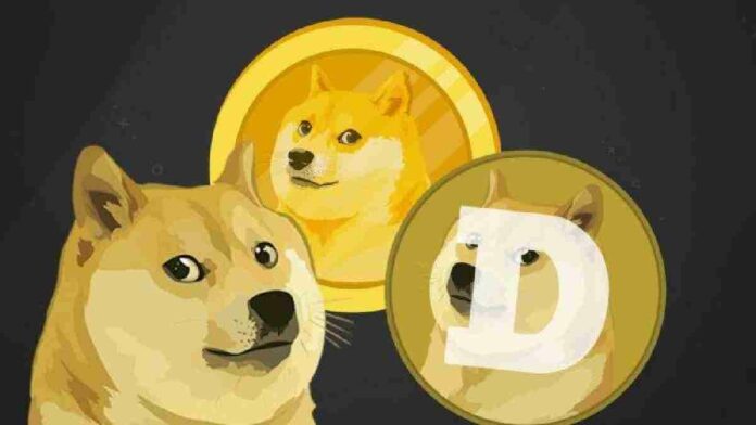 Mata Uang Digital Dogecoin Kini Bisa Beli Merchandise Tesla, Harganya Langsung Naik