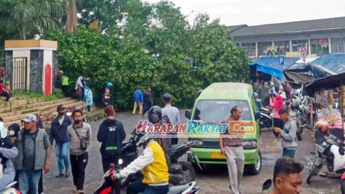 Pohon Besar Roboh Timpa 3 Mobil di Alun-alun Singaparna Tasikmalaya