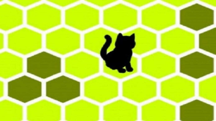 Cat Trap Game yang Viral di Media Sosial untuk Menjebak Seekor Kucing