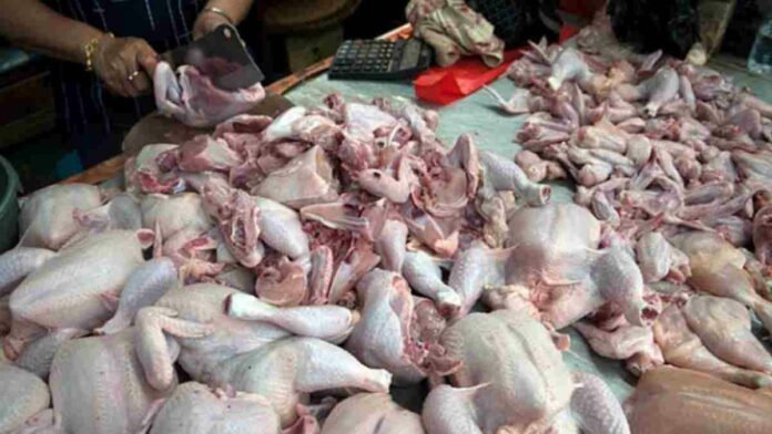 Rekomendasi Saham Poultry yang Akan Terbawa Sentimen Ramadhan