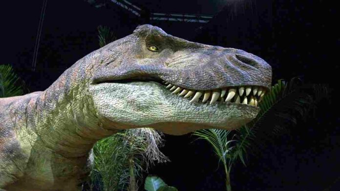 Spesies Tyrannosaurus Rex Ternyata Terbagi Menjadi Tiga Jenis?