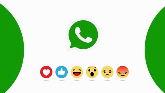 Fitur WhatsApp Reactions Meluncur, Bagaimana Cara Mengaktifkan