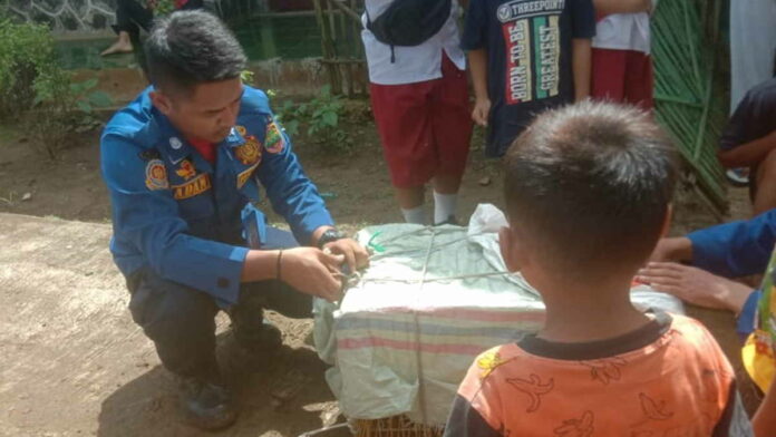 Kerap Masuk Rumah, Warga Cinyasag Ciamis Amankan Lutung Jawa