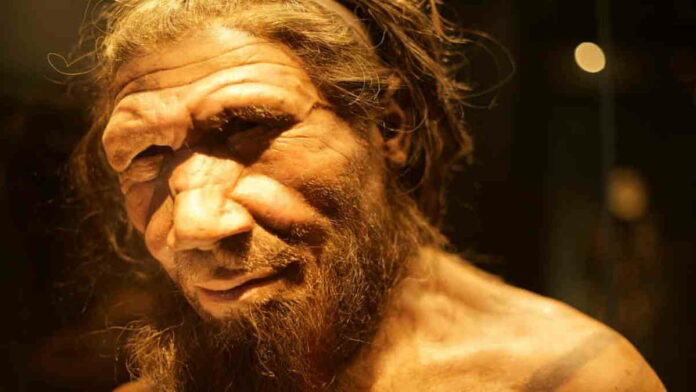 Fakta Manusia Purba Neanderthal Terunik, Pandai di Bidang Seni