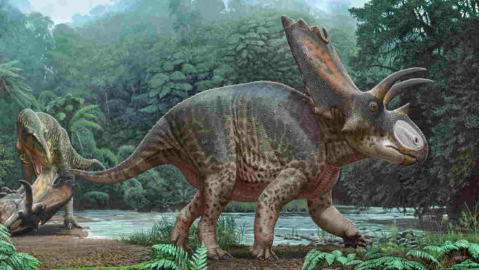 Dinosaurus Bisticeratops Froeseorum, Spesies Baru dari Mexico