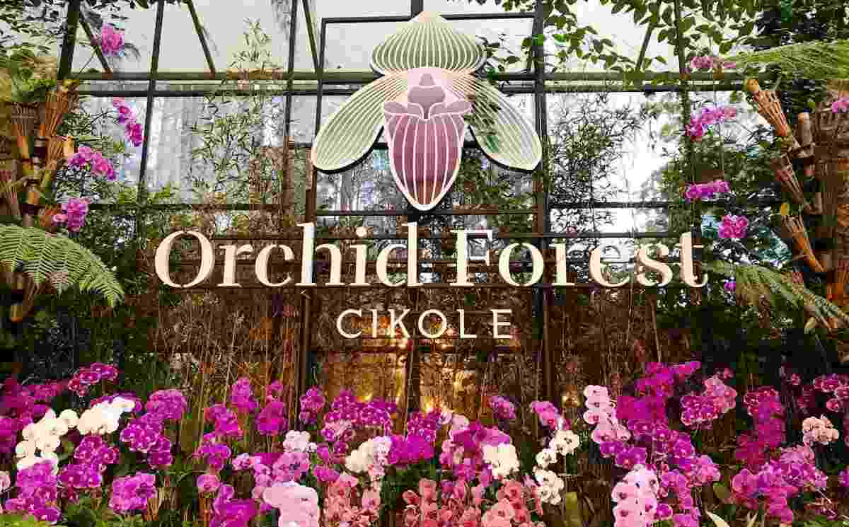 Objek Wisata Orchid Forest Cikole Bandung Jawa Barat