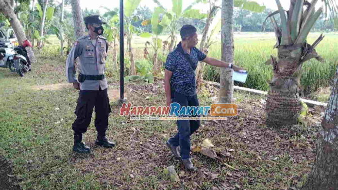 Petani Kehilangan Motor saat Panen Padi, 3 Kali di Lokasi yang Sama di Pangandaran