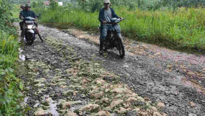 Jalan Mandalamekar Rusak