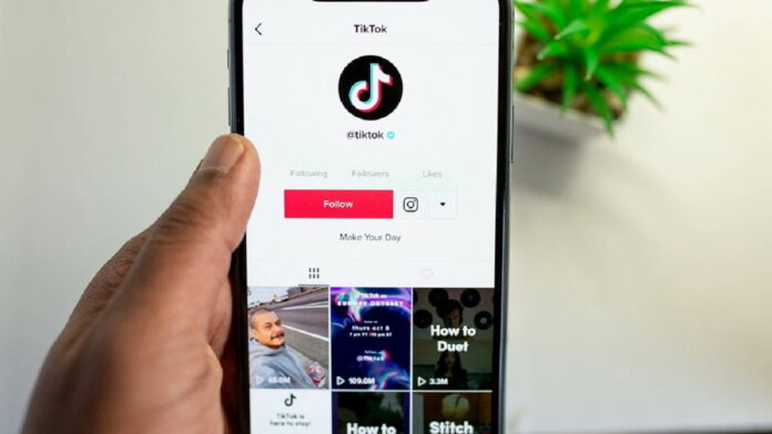 Cara Cek Penghasilan TikTok Melalui Website dan Aplikasi