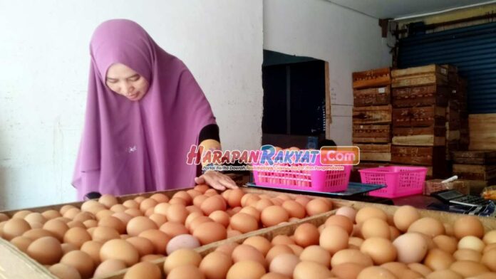 Harga Telur Ayam di Pasar Banjar Naik Lagi