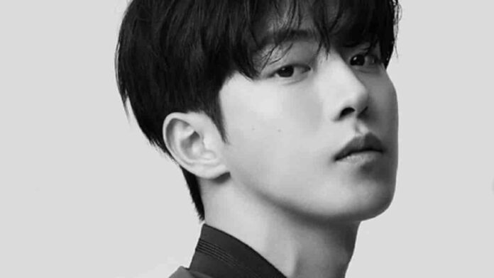 Sinopsis Drama Korea Vigilante, Antar Nam Joo Hyuk Wamil