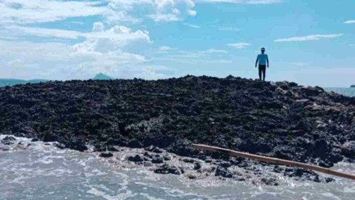 Fakta Pulau Baru di Tanimbar yang Muncul Usai Gempa Maluku