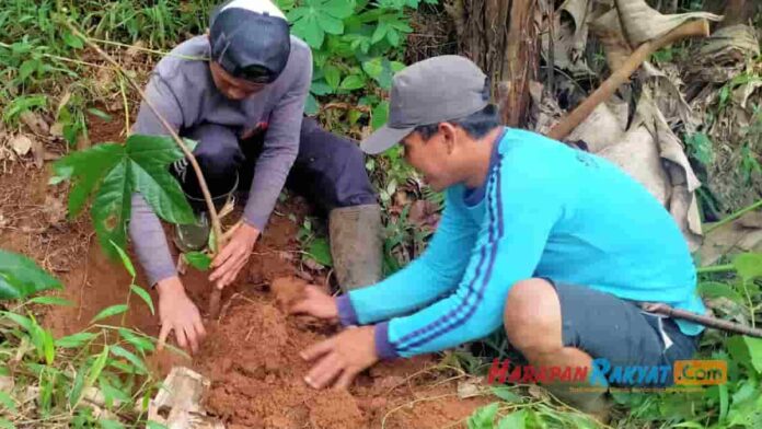 Merawat Sumber Mata Air, Masyarakat Bulaklega Pangandaran Tanam Pohon dan Bersihkan Sungai