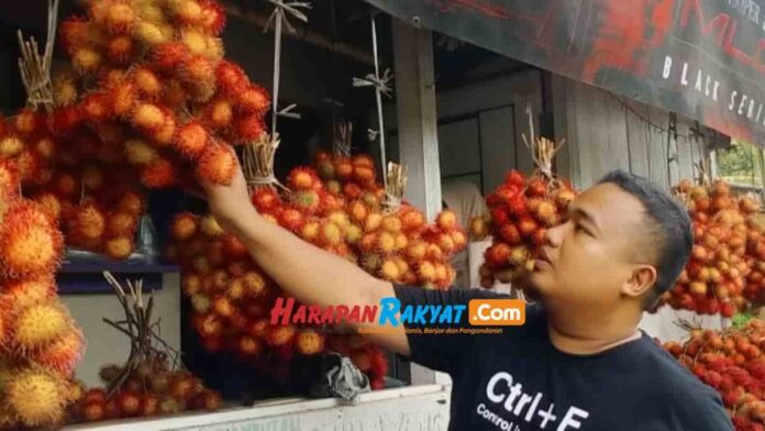 Produksi Rambutan Si Batulawang