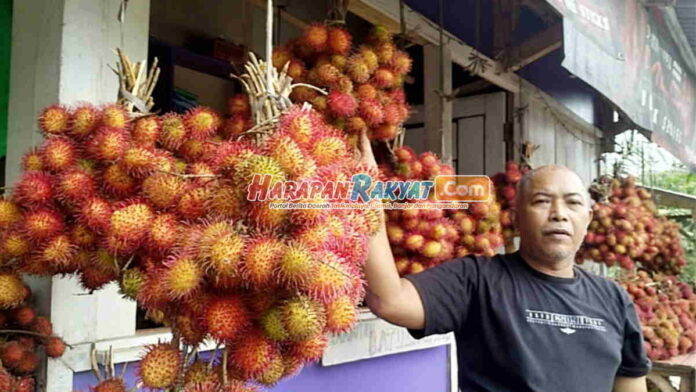 Rambutan si Batulawang Khas Kota Banjar Diburu Pembeli