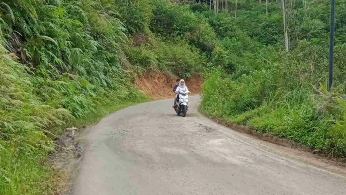 Sering Dilewati Truk, Jalan Penghubung Pangandaran-Tasikmalaya Berlubang