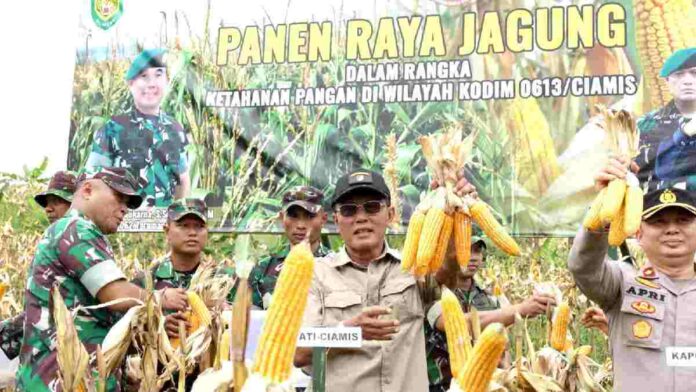 Panen Raya Jagung