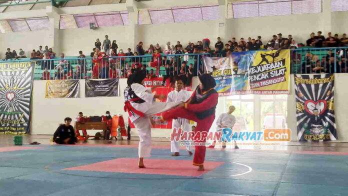 IPSI Cup Kota Banjar