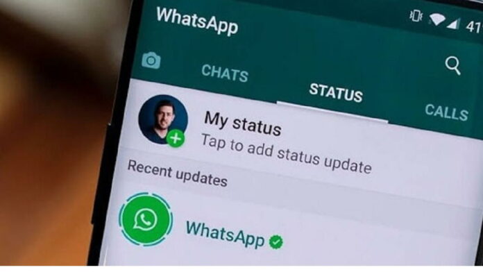 Pratinjau Tautan di Status WhatsApp Fitur Baru Besutan Aplikasi