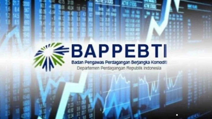 Strategi Investasi Bappebti Tawarkan Edukasi Tentang Kripto