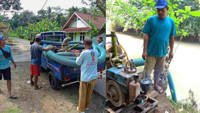 Puluhan Hektar Sawah Dilanda Kekeringan, Petani di Buniasih Ciamis Lakukan Ini