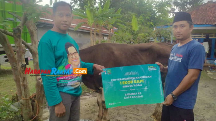 Sapi Kurban Caleg DPR RI Rina Saadah