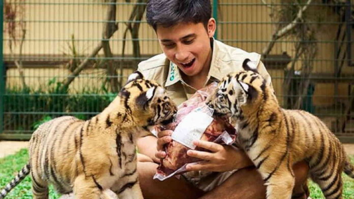 Anak Harimau Alshad Ahmad Mati