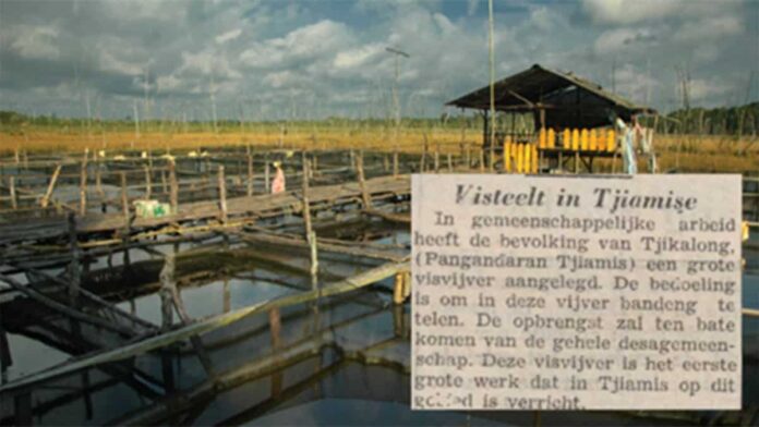 Budidaya Ikan Air Tawar
