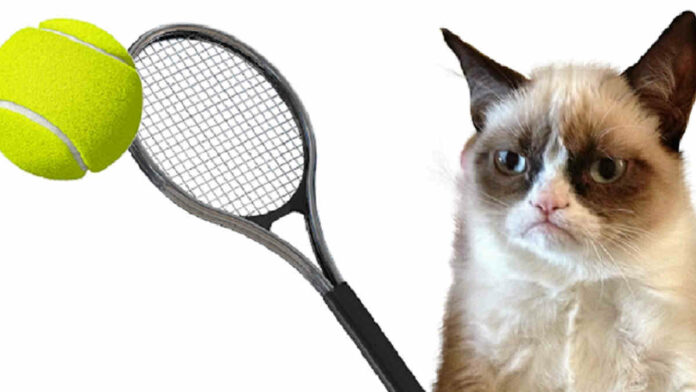 Game Cat Tennis