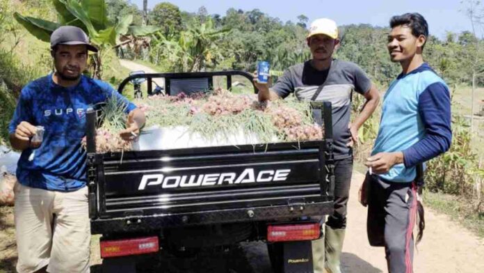 Petani di Pangandaran Sumringah Angkut Hasil Panen Bawang Merah Lancar