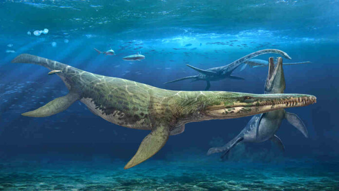 Mega Predator Pliosaurus Jurassic