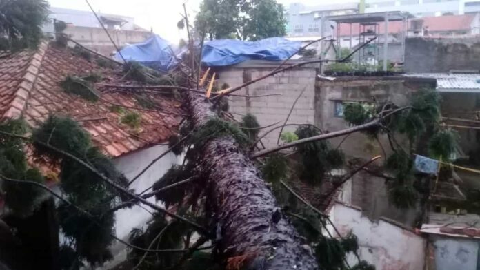 Pohon tumbang akibat puting beliung di Cimahi