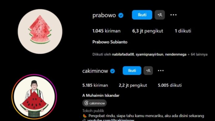 Prabowo dan Cak Imin mengubah foto profil Instagramnya dengan ilustrasi buah semangka sebagai dukungan untuk Palestina