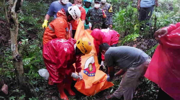 Mencari Kayu Bakar