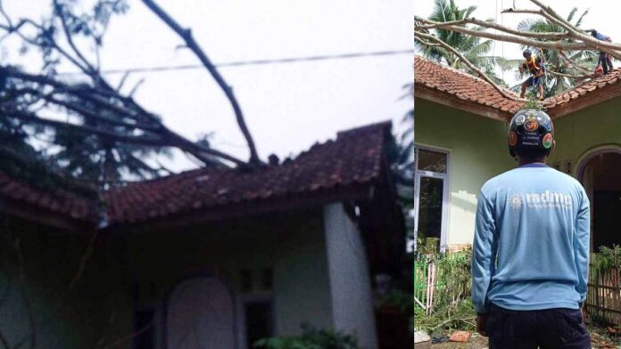 Hujan Angin di Lakbok Ciamis, Pohon Tumbang Timpa Rumah Warga