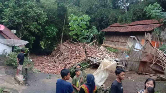 Kandang Ayam Ambruk