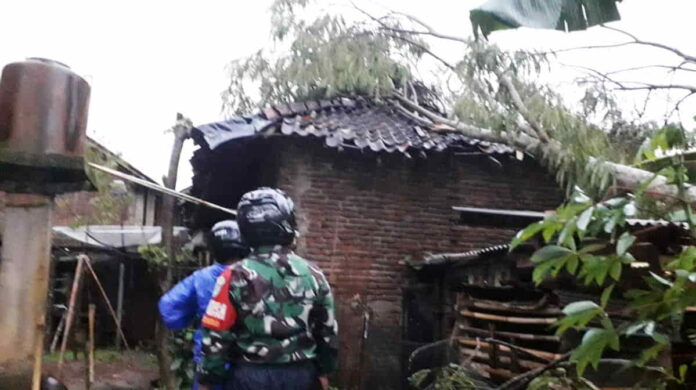 Rumah Rusak Tertimpa Pohon