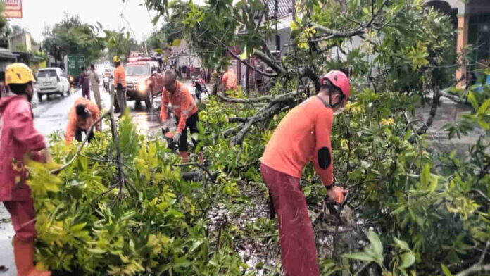 Pohon Tumbang dan Tutup Sebagian Jalan Nasional di Kota Banjar