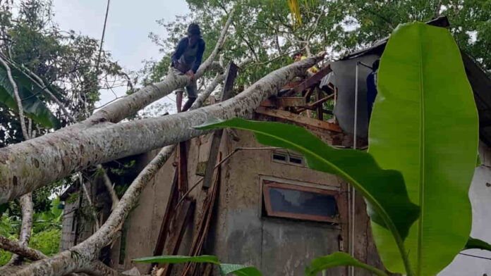 Rumah Tertimpa Pohon di Tasikmalaya