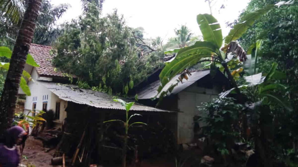 Dua Rumah Rusak Tertimpa Pohon Di Pamarican Ciamis Kerugian Capai