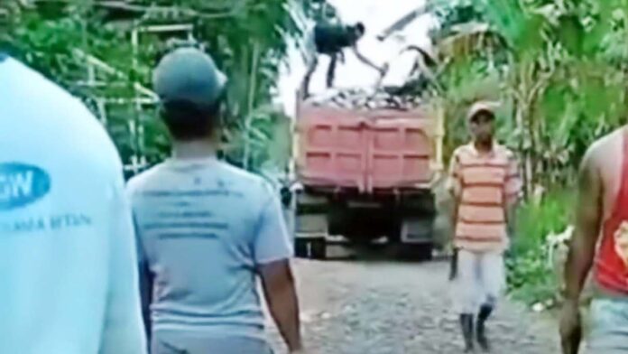 Pasca Viral di Medsos, Caleg Angkut Bantuan Paving di Banyuwangi Angkat Bicara