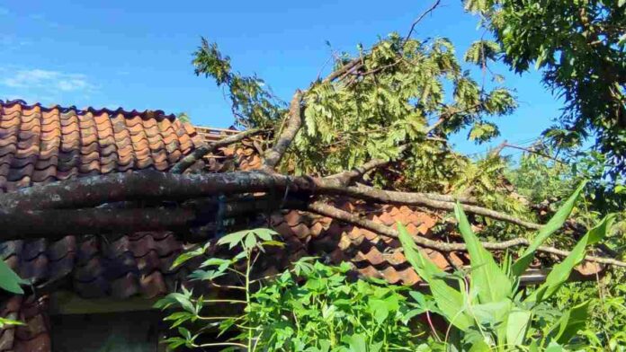 Ratusan Rumah Rusak Diterjang Puting Beliung di Ciamis