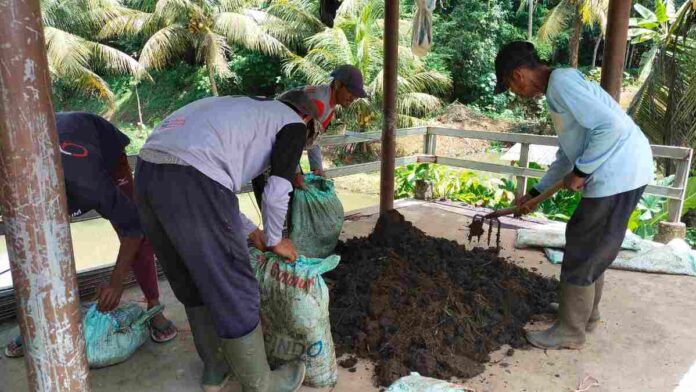 Atasi Pupuk Subsidi Langka, Petani di Ciamis Dilatih Membuat yang Organik