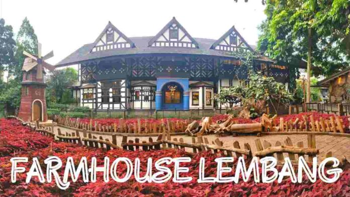 Farm House Lembang, Memiliki Banyak Aktivitas Menarik